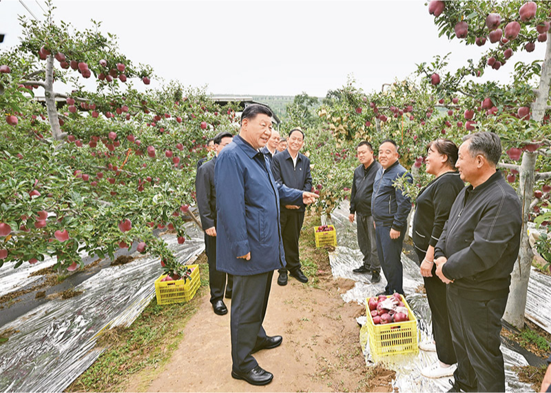 习近平-3.jpg